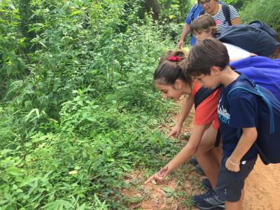 Photos de nos clients | Chiang Mai Trekking | Le meilleur trekking à Chiang Mai avec Piroon Nantaya